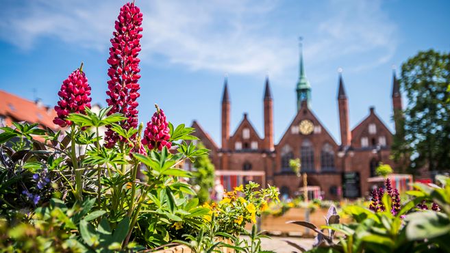Blumen im Vordergrund mit einem historischen Gebäude im Hintergrund in Lübeck.