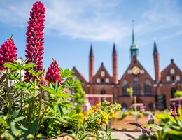 Blumen im Vordergrund mit einem historischen Gebäude im Hintergrund in Lübeck.